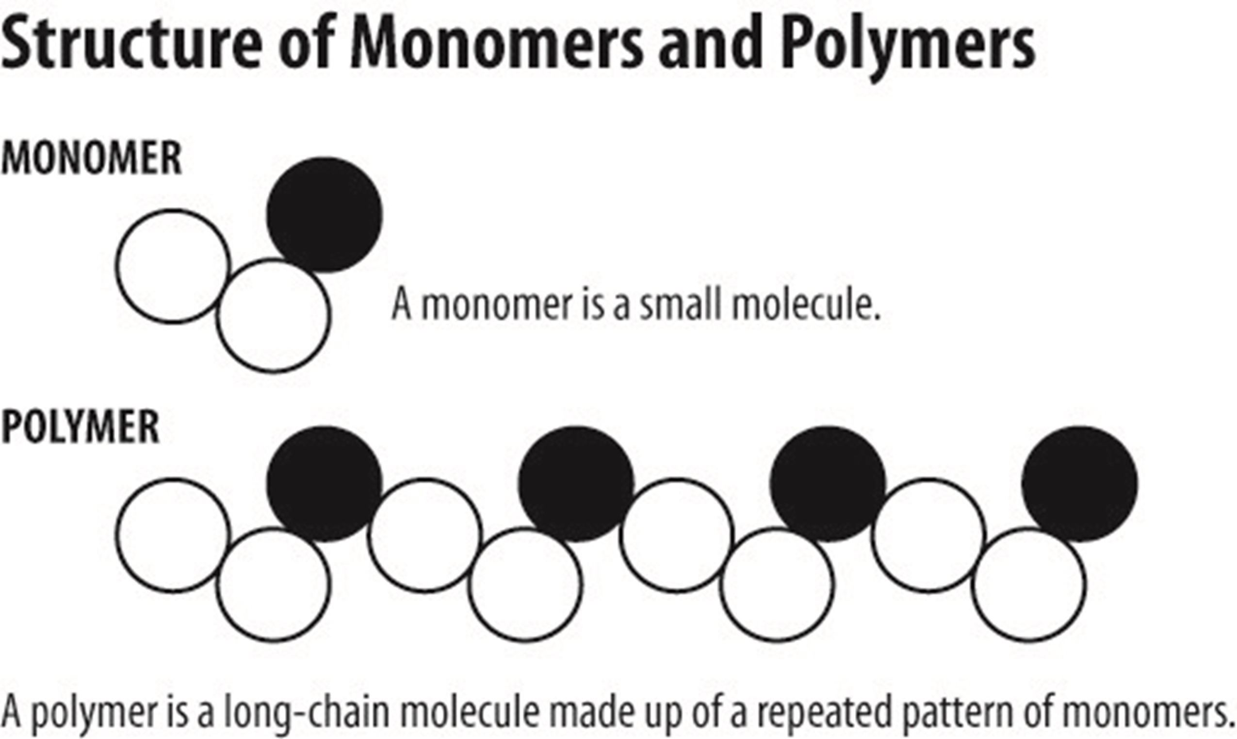 Guide To Monomer Western Chemicals